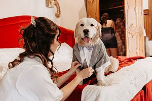 perro en la boda