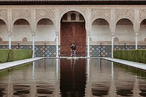 puerta palacios alhambra