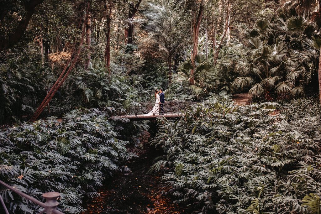 jardin botanico postboda fotografo granada 