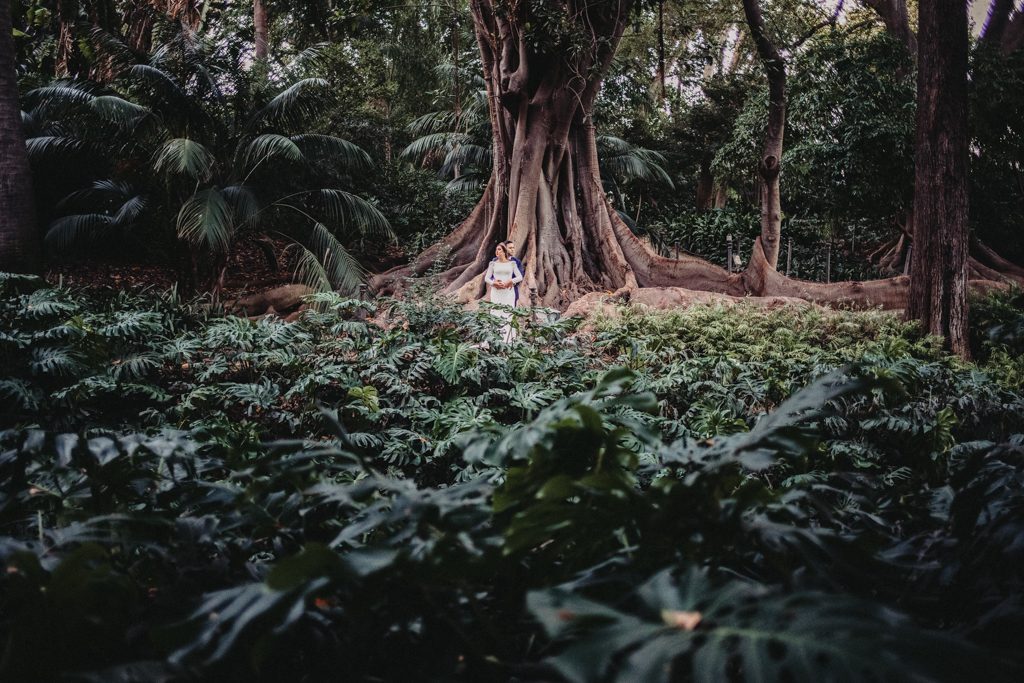 jardin botanico postboda fotografo granada 