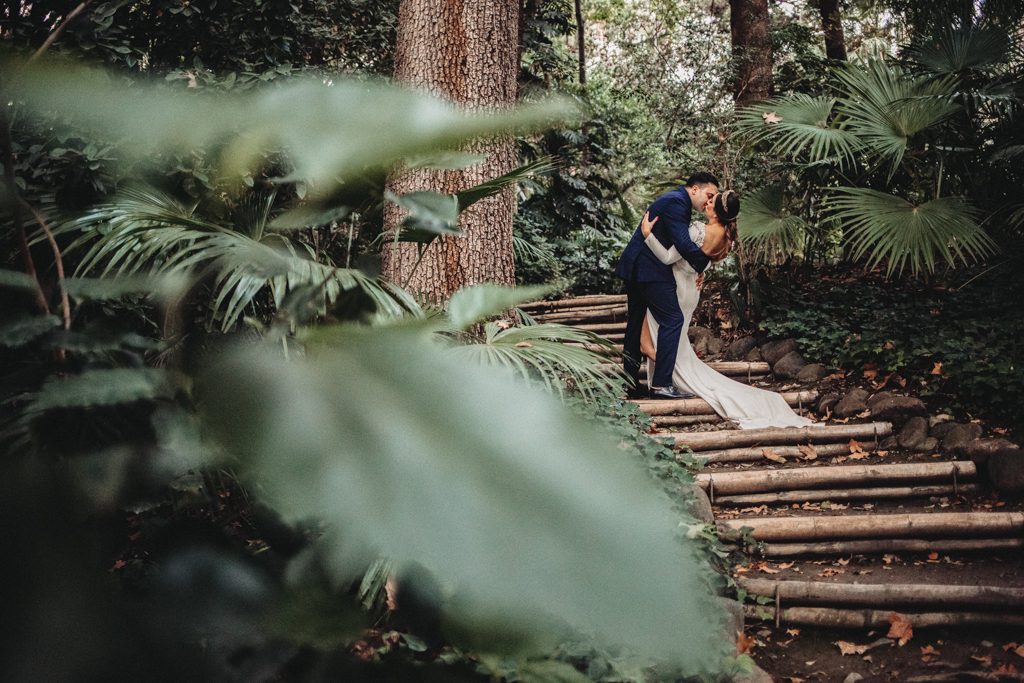 jardin botanico postboda fotografo granada 